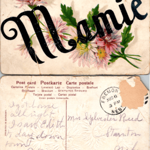 Mamie Embossed Floral Postcard Germany Pink Chrysanthemums Vintage - Image 1