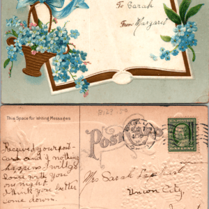 1911 Embossed Postcard Blue Flowers Book Ribbon Vintage - Image 1