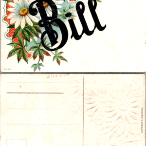 Bill Embossed SER 507 Germany Postcard Vintage - Image 1
