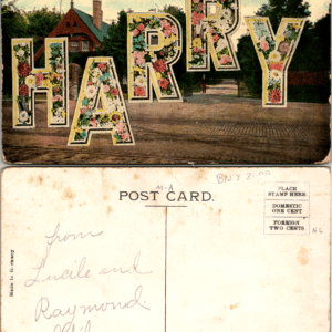 HARRY Floral Large Letter Postcard Made in Germany Vintage 1900s - Image 1