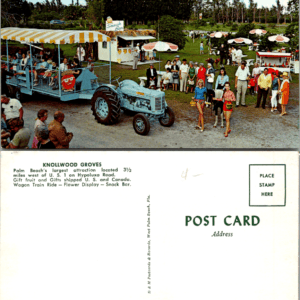 Knollwood Groves Palm Beach Florida Wagon Ride Ferguson Tractor Vintage Postcard - Image 1