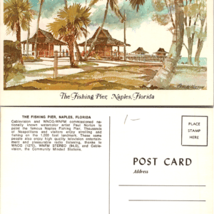 Naples Fishing Pier Naples Florida Paul N. Norton 451023 postcard - Image 1