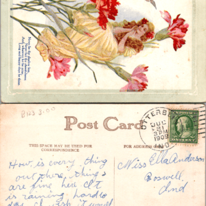 Lady Pink Carnations Postcard 1909 Vintage - Image 1