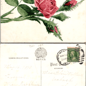 PCK SERIES Pink Moss Rose 1910 Postcard - Image 1