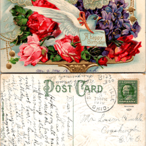 Birthday Postcard Dove Roses Violets 1910 Chillicothe Ohio Vintage - Image 1