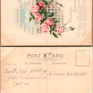 Birthday Greetings Pink Roses Trellis Postcard Series 937 A USA - Image 1