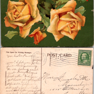 Yellow Roses Postcard Germany 1910 Mount Vernon Indiana - Image 1