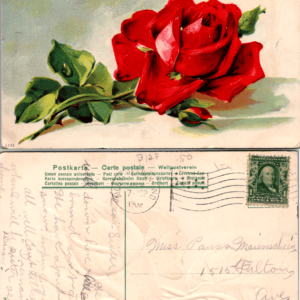 Red Rose Postcard Germany 1908 1331 Vintage - Image 1