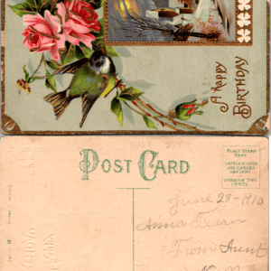 Philanda Webb Series 12 A Happy Birthday Bird Roses Germany 1910 - Image 1