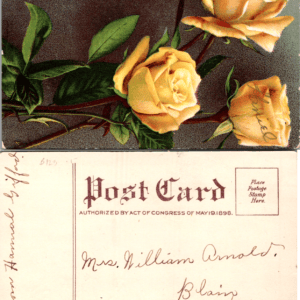 Yellow Roses Postcard Blain Perry Co. Pa. - Image 1