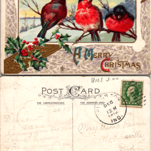 Christmas Birds Holly 1912 Postcard Vintage - Image 1