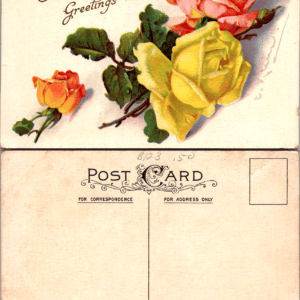 Hearty Greetings Pink Yellow Roses Series 412 D Postcard - Image 1