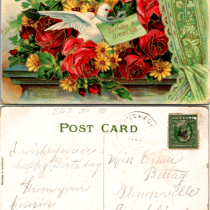 Birthday Greetings Dove Roses Germany 1909 Postcard - Image 1