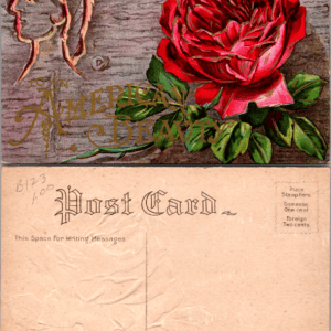 Embossed Postcard Red Rose American Beauty Divided Back Vintage - Image 1