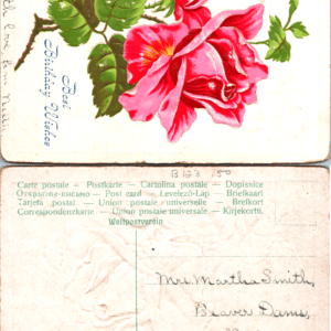 Embossed Rose Birthday Postcard Best Birthday Wishes - Image 1