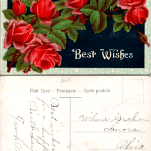 Best Wishes Red Rose Embossed Birthday Postcard Printed in Germany Vintage - Image 1