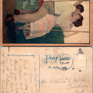 I do Like You Couple on Swing 895 Early 1900s Divided Back Postcard - Image 1