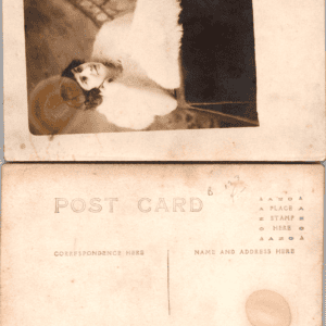 Real Photo Postcard RPPC Fur Stole Woman Divided Back - Image 1