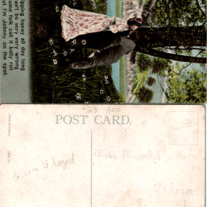 Germany N 3037 Postcard Romantic Couple Tree - Image 1