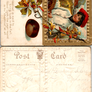 Chestnut Good Luck Fall Postcard Embossed A M Divided Back Vintage - Image 1