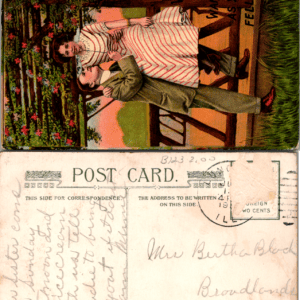 Would You Want Me As Your Fellow? Postcard Divided Back Illinois - Image 1