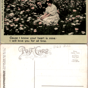 De Witt C. Wheeler A 717-3 1907 Romance Couple Daisy Field Postcard - Image 1
