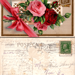 Language of Flowers Series No. 5 Rose Postcard - Image 1