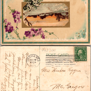 Embossed New Year Postcard Winter Scene Purple Flowers 1913 - Image 1