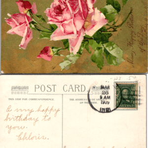Pink Roses Birthday Postcard Printed in Germany 1909 Vintage - Image 1