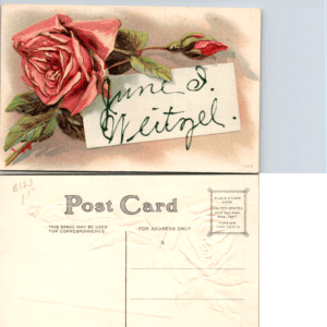 Embossed Rose Postcard Divided Back 1323 - Image 1