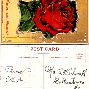 Heymann 1912 With All Good Wishes Serie 7104 Embossed Postcard - Image 1
