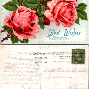 Best Wishes Roses E.C.C. Serie Printed in Germany Vintage Postcard - Image 1