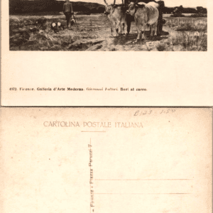 Giovanni Fattori Bovi al carro Cipriani Firenze 4072 Postcard - Image 1