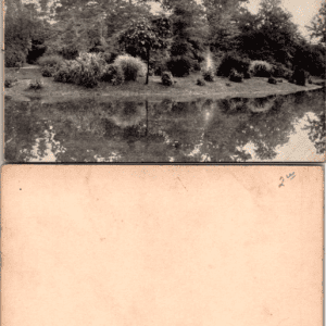 Park Garden Pond Real Photo RPPC Postcard Blank Undivided - Image 1