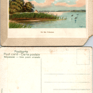 On the Potomac Germany River Scene Birds Postcard Vintage - Image 1