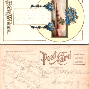 Best Wishes Birthday Embossed Postcard Sandy Lake Pennsylvania - Image 1