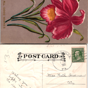 Embossed Floral Postcard Pink Orchid Cattleya 1911 Brownsville PA - Image 1