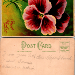 Best Wishes Pansy Flower Postcard Divided Back Vintage - Image 1
