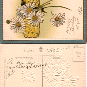 Davidson Bros. Series 7111 Embossed Daisies Birthday Greetings 1899 Postcard - Image 1