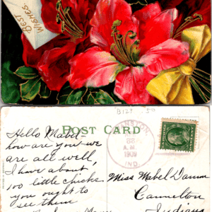 Embossed Best Wishes Red Flowers Postcard 1909 Evanston Indiana - Image 1