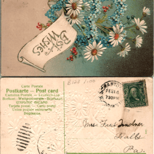 Best Wishes Embossed Floral Postcard Daisies Falls Pa - Image 1