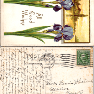 1916 All Good Wishes Purple Iris Flowers Postcard Vintage - Image 1