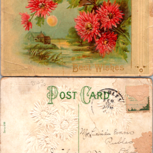 Best Wishes Pink Chrysanthemums House Scene Series 6200 Postcard - Image 1