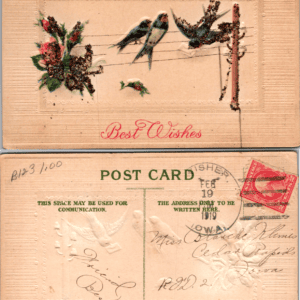 Best Wishes Birds Embossed Postcard Divided Back 1919 Fisher Iowa - Image 1