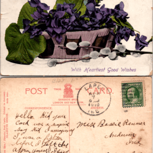 Davidson Bros. Gazette Series 8055 Violets Basket Postcard 1910 - Image 1