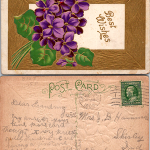 Best Wishes Purple Violets Embossed Postcard 565 NEW 1909 - Image 1