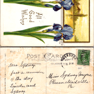 1914 Purple Iris Flowers Country Scene Postcard Vintage - Image 1
