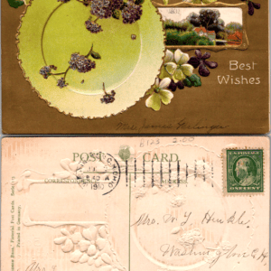 Dawson Bros Pictorial Post Cards Serie 13 Best Wishes Violets 1910 - Image 1