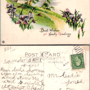 Best Wishes And Hearty Greetings Postcard Purple Irises Landscape 1920 - Image 1