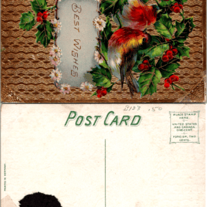 Best Wishes Birds Holly Germany Serie 36 Vintage Postcard - Image 1